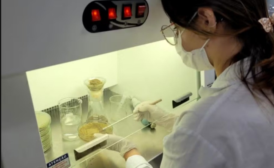 Concurso 'Bela, cientista e do bar' abre inscrições para mulheres pesquisadoras em Juiz de Fora